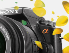Sony Homepage